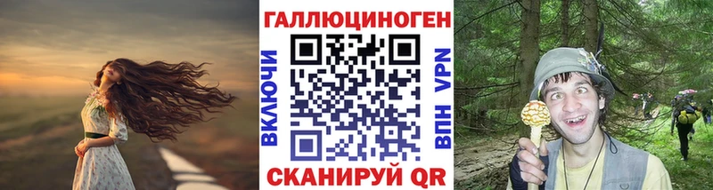 Галлюциногенные грибы Psilocybe  маркетплейс формула  Нижние Серги  где купить  